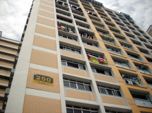 Blk 250 Choa Chu Kang Avenue 2 (Choa Chu Kang), HDB 4 Rooms #58852